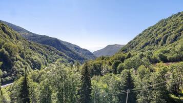 Eine gebirgige Landschaft mit dichtem Wald, klarem Himmel und Stromleitungen.