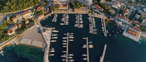 An aerial view of a marina with boats docked, surrounded by residential buildings and a forested area.