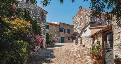 Sun-Kissed Sailing Adventure in Istria, Croatia