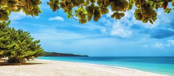 Caribbean Bliss: Sun-soaked Sailing Adventure from Granada, San Jorge