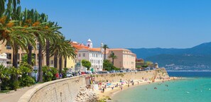 A coastal cityscape with a stone wall, palm trees, and buildings with red roofs.