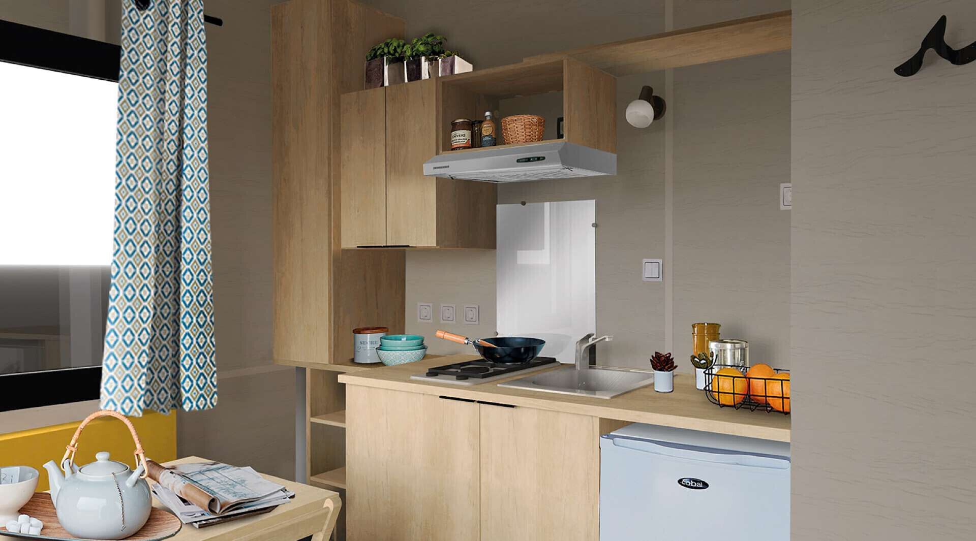 Fridge, oven, cookware/dishes/utensils