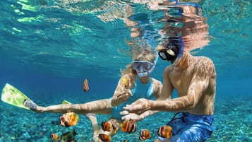 Divers