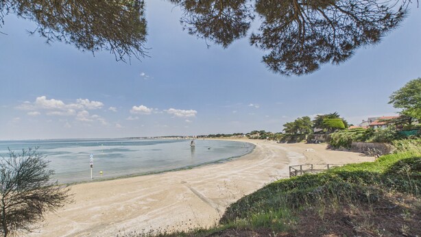 Una platja amb vista clara al mar, sorra daurada i alguns arbres.