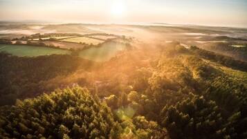 A forested landscape with a view of rolling hills and a clear sky.