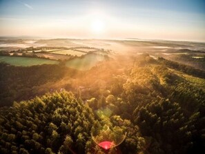 A forested landscape with a view of rolling hills and a clear sky.