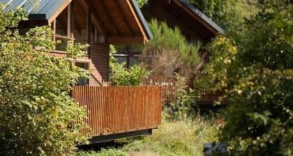 Deerpark Cornwall - Forest Holidays