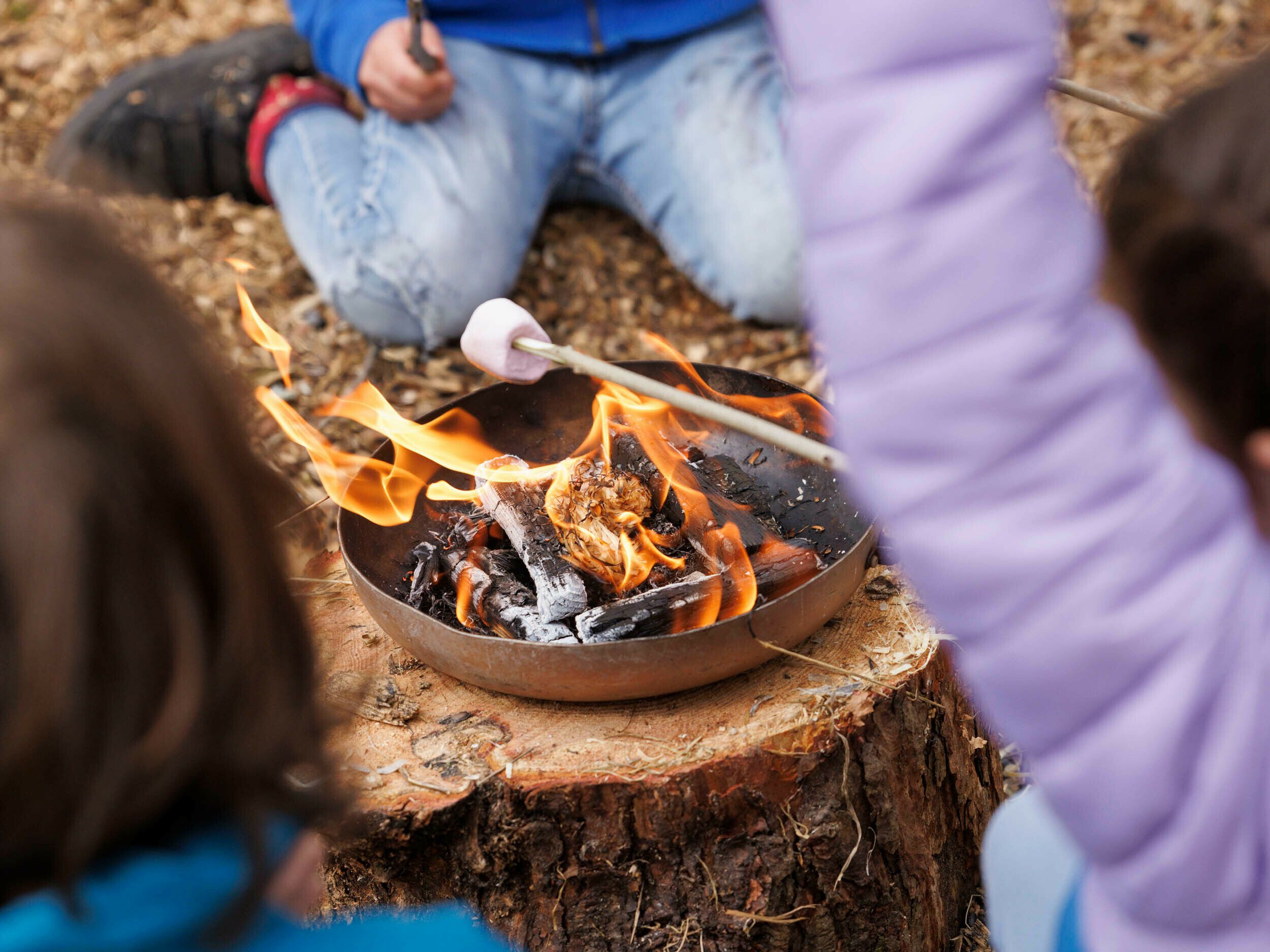 Un feu de camp avec une poêle posée sur une souche d’arbre, entouré de personnes.