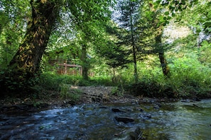 Un área boscosa con un arroyo y una cabaña de madera.