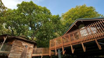 Classic Golden Oak Treehouse Cabin | Front of property