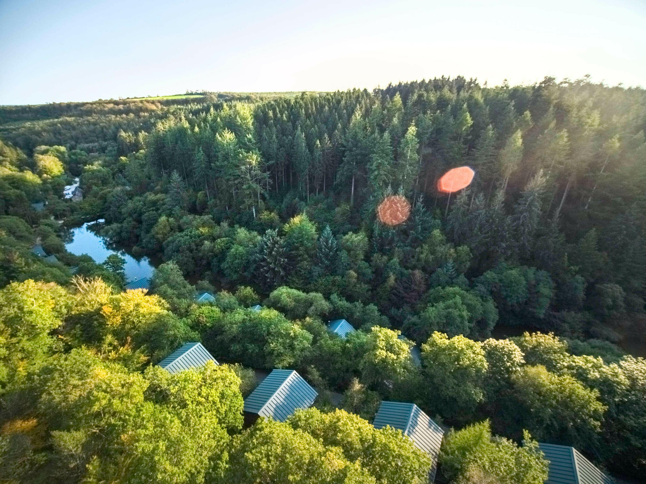 Skovområde med flere bygninger, en flod og en tæt skovkant.