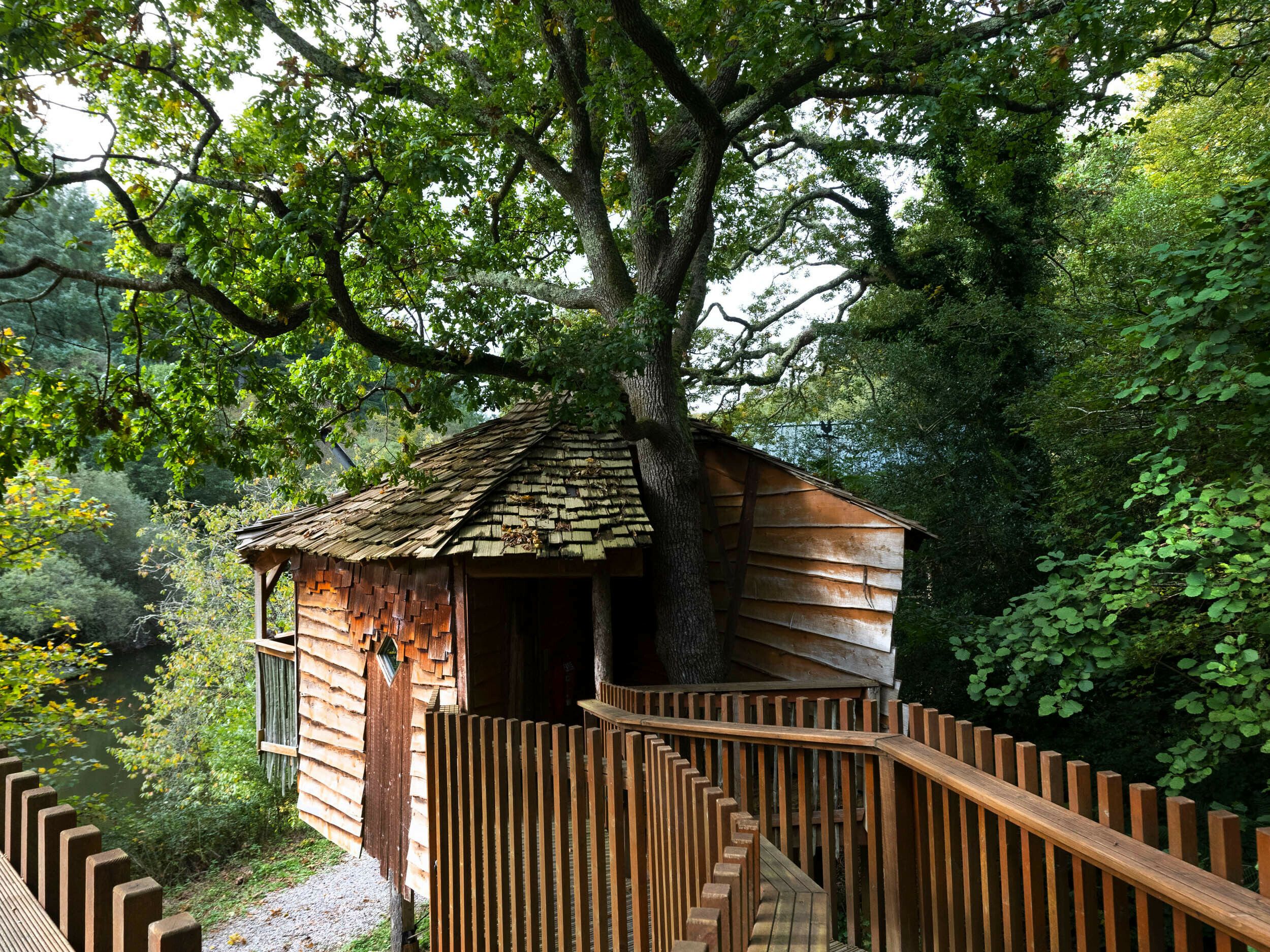 A rustic wooden cabin with a sloped roof, surrounded by dense foliage and a wooden staircase leading up to it.