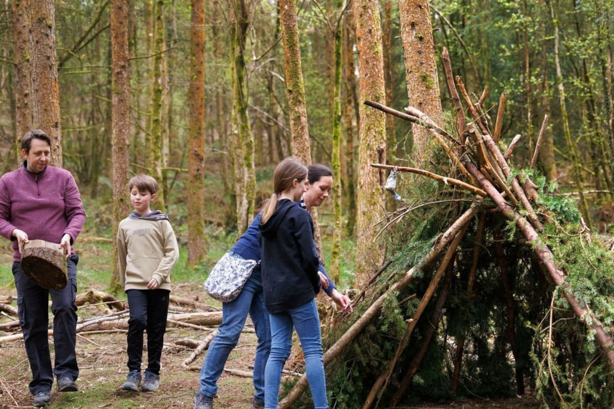 A forest scene with people carrying branches.
