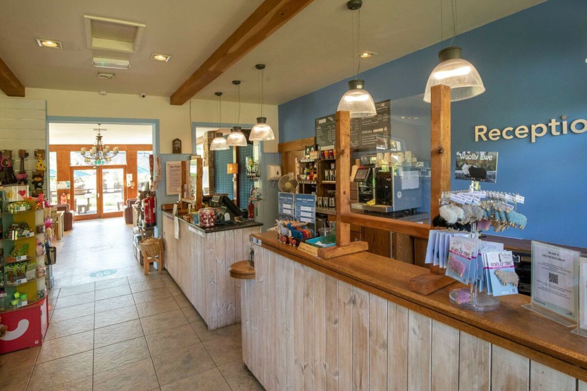 A reception area with a wooden counter, hanging pendant lights, a blue wall with the word 'Reception' visible, and various items on display.