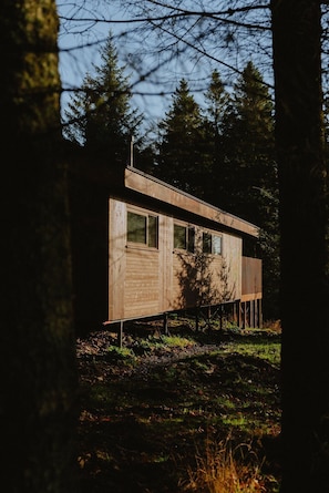 A wooden cabin with a sloped roof, built on stilts, surrounded by trees. - Glentress Forest - Forest Holidays (Peebles)