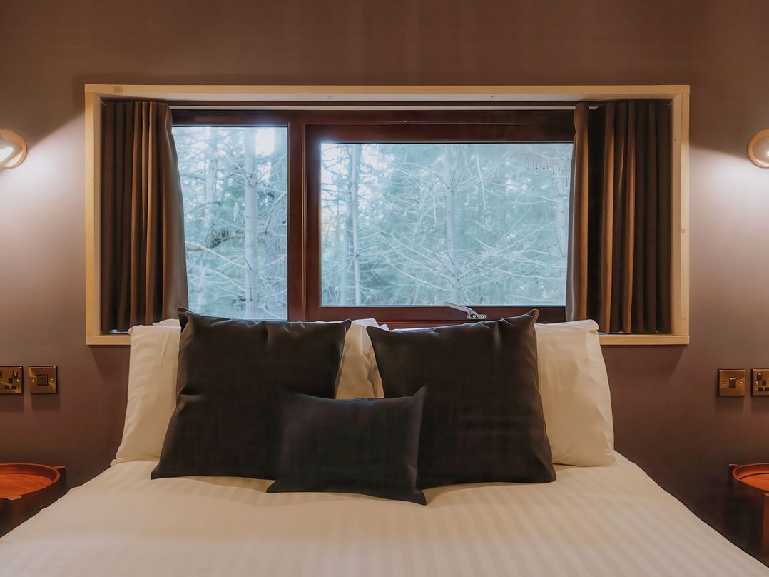 A bed with white bedding and dark pillows, a window with curtains, and a view of trees.