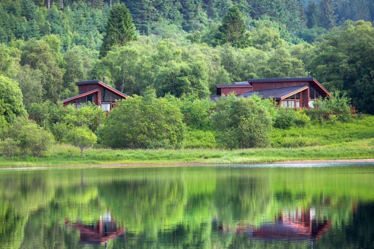 Two cabins nestled among trees by a calm lake.