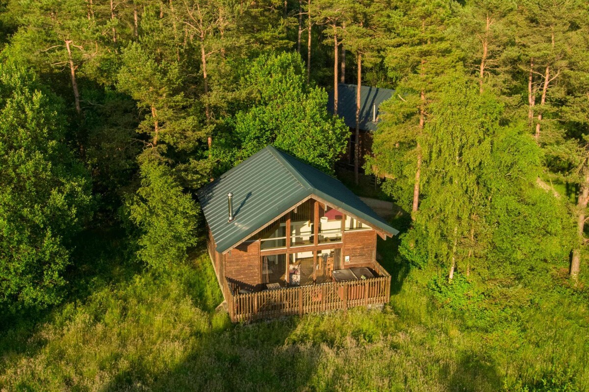 A cabin with a green roof, surrounded by dense forest.