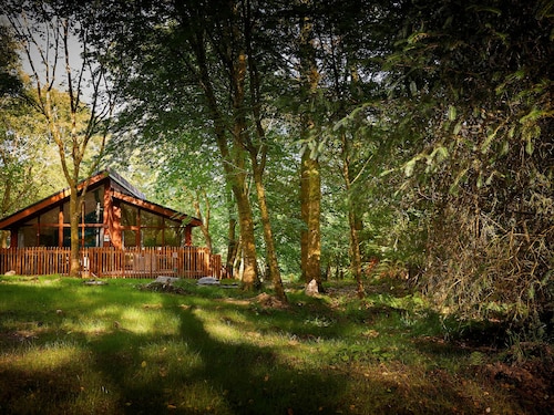 Beddgelert Golden Oak - Freshly Inspired Design