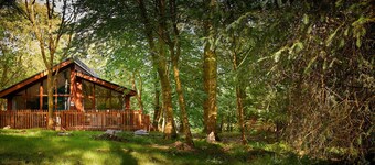Beddgelert Golden Oak - Freshly Inspired Design