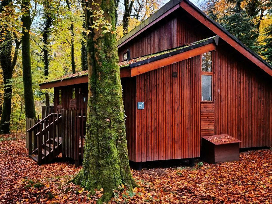 Silver Birch Restricted View Cabin - Pet friendly | Front of property