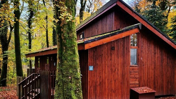 Eine Holzhütte mit einer Veranda und einer Treppe, die zu einer Terrasse führt.