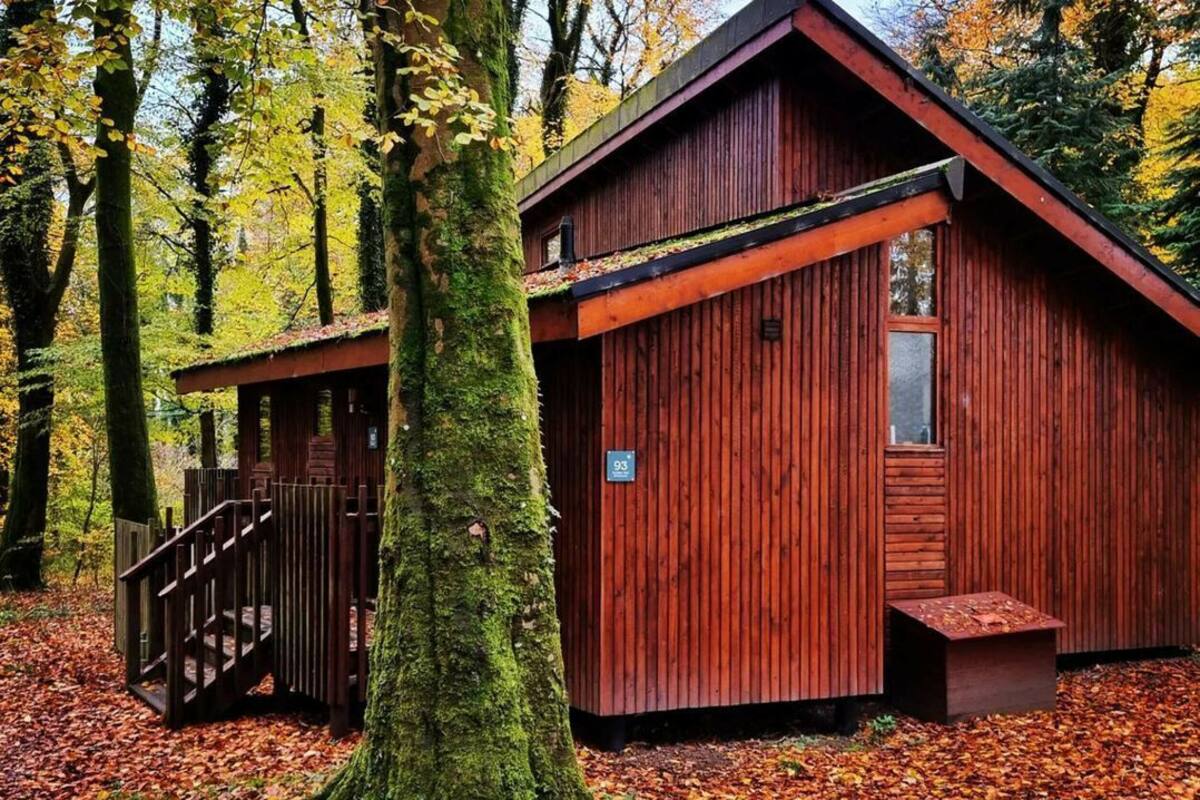 Studio (2 Bedrooms) | Front of property
