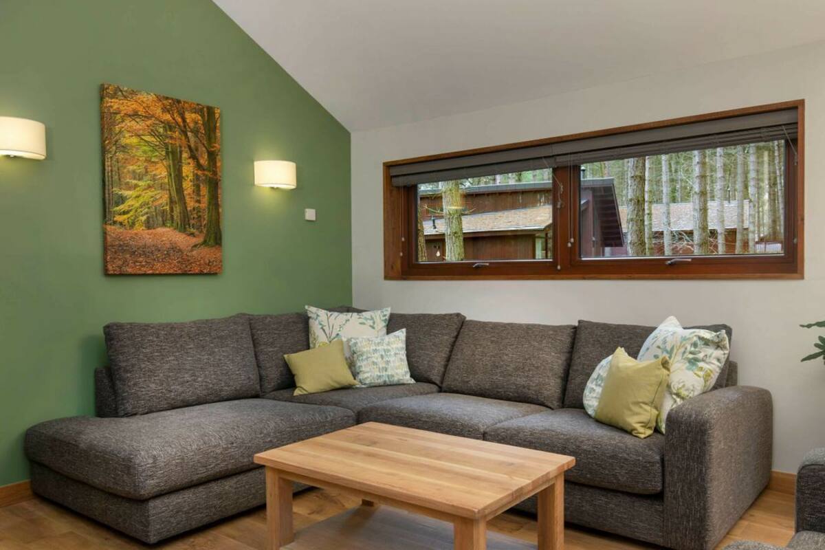 Un salon comprenant un canapé d’angle, une table basse en bois, un tableau représentant une forêt et une fenêtre donnant sur des arbres.