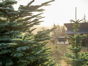A residential area with evergreen trees and a house with a sloped roof. - Garwnant Brecon Beacons- Forest Holidays (Merthyr Tydfil)