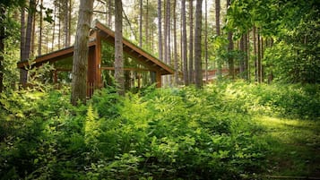 A wooden cabin in a forest with a sloped roof, surrounded by dense greenery and tall trees.