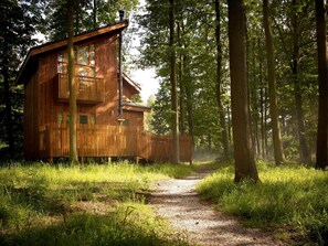A wooden cabin in a forest with a gravel path leading to it. - Sherwood Forest - Forest Holidays (Mansfield)