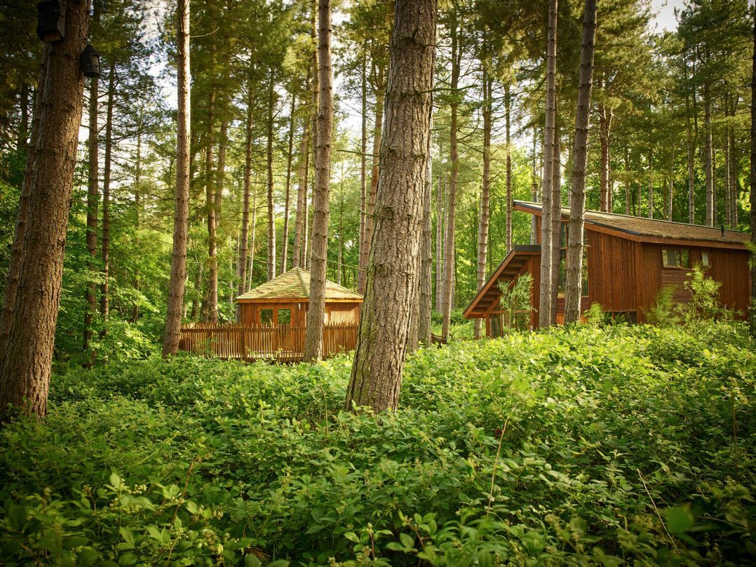 A cabin surrounded by dense forest with a wooden deck and a small porch.