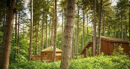 Sherwood Forest - Forest Holidays