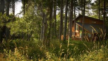 A cabin surrounded by tall trees and dense foliage.