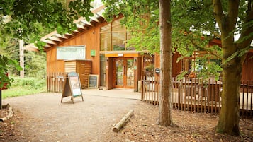 A wooden building with a glass entrance, surrounded by trees and a wooden fence.