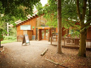 A wooden building with a glass entrance, surrounded by trees and a wooden fence.