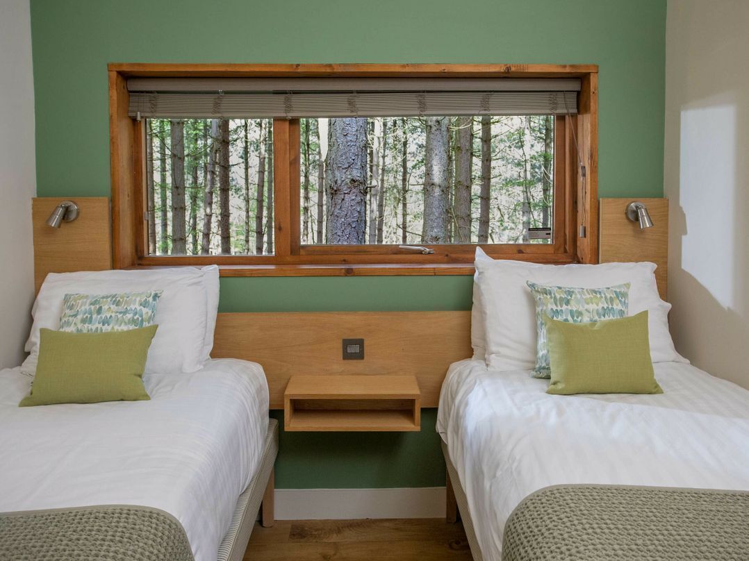 A room with two beds, a window with a view of trees, a wooden headboard, and a small bedside table.