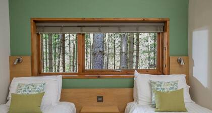 Thorpe Forest - Forest Holidays