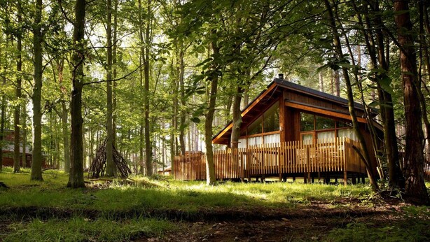 A cabin in a forest with a wooden deck and a fenced area.