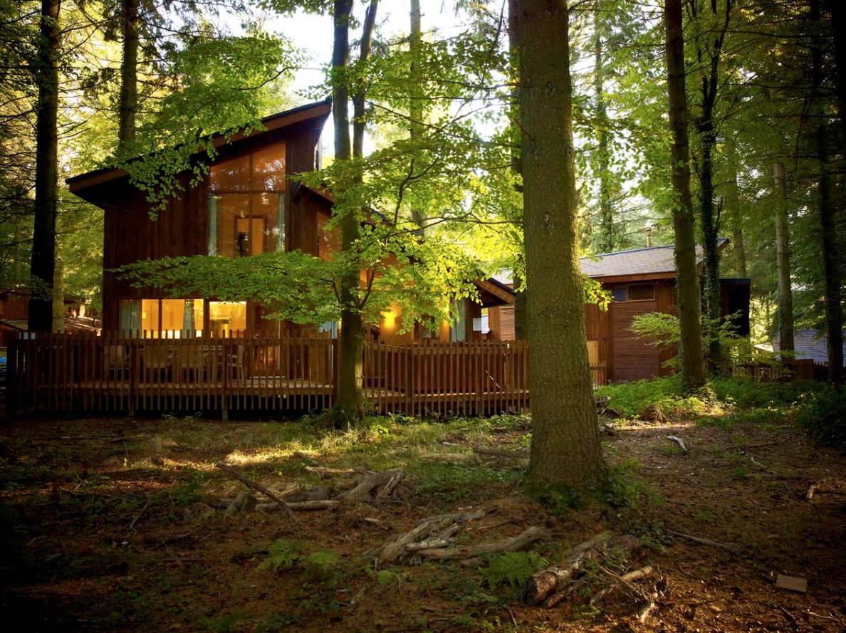 Woodland - Golden Oak Cabin | View from room