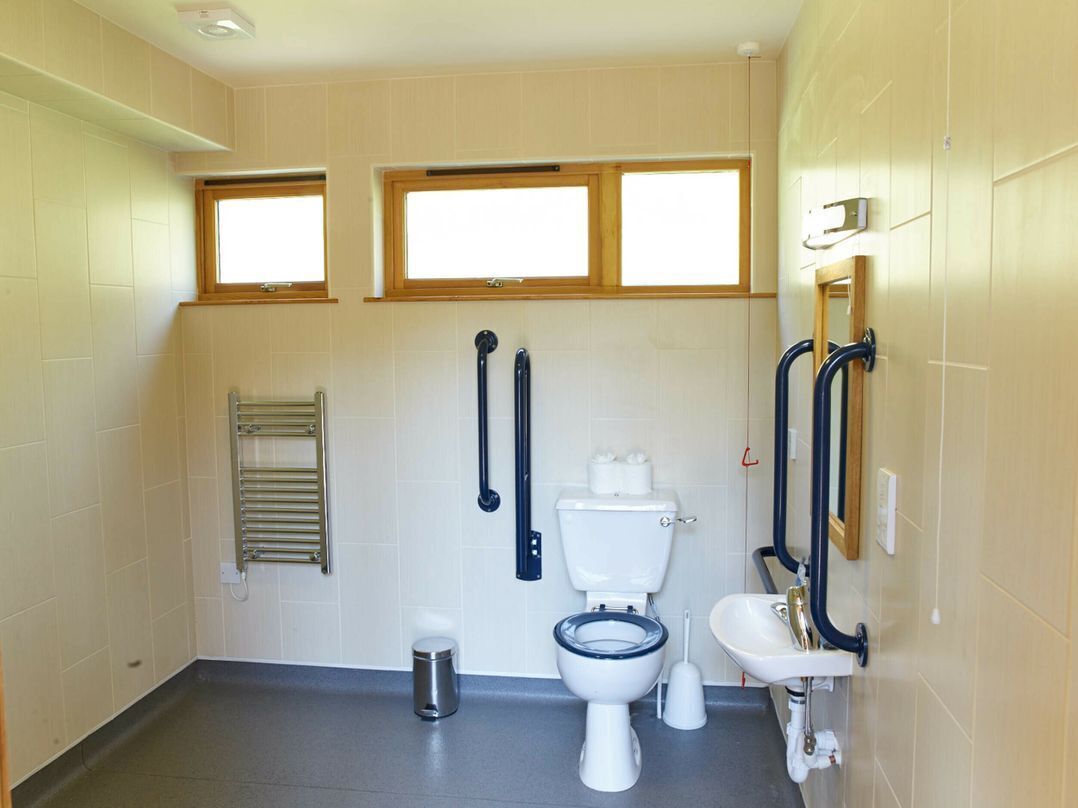 A bathroom with a toilet, sink, grab bars, a window, and a towel rack.