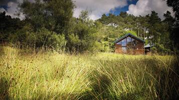 A cabin in a grassy field with a wooden fence, surrounded by trees and a cloudy sky.
