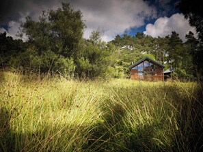 A cabin in a grassy field with a wooden fence, surrounded by trees and a cloudy sky. - Keldy Forest - Forest Holidays (Pickering)