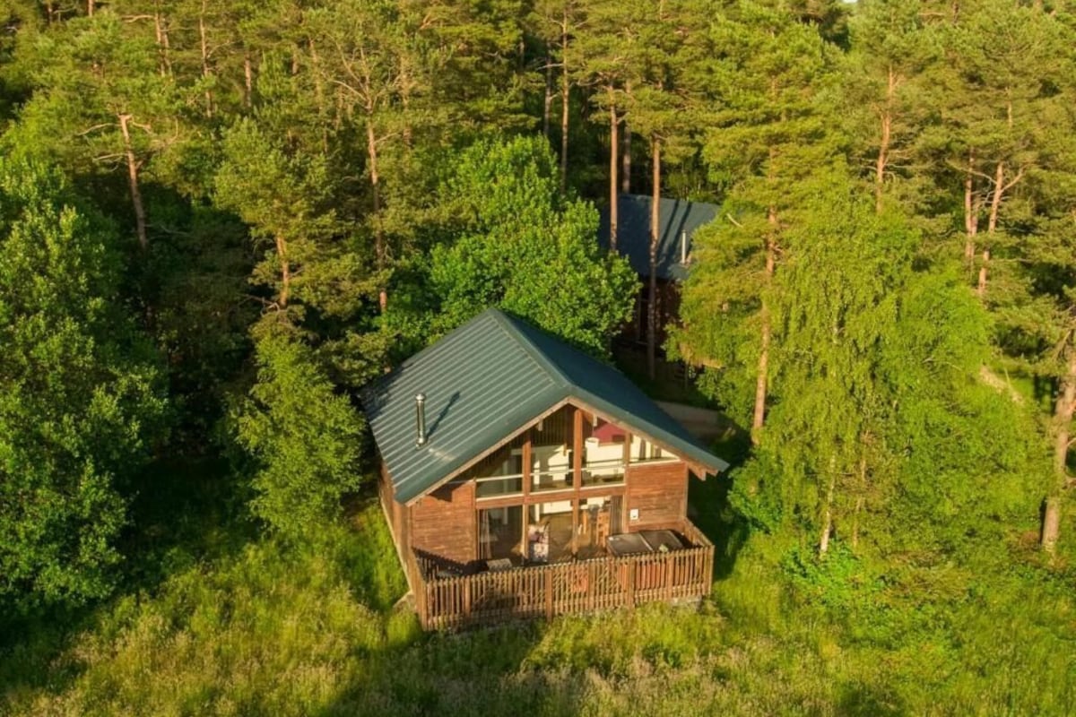 A wooden cabin with a sloped roof, surrounded by dense forest.