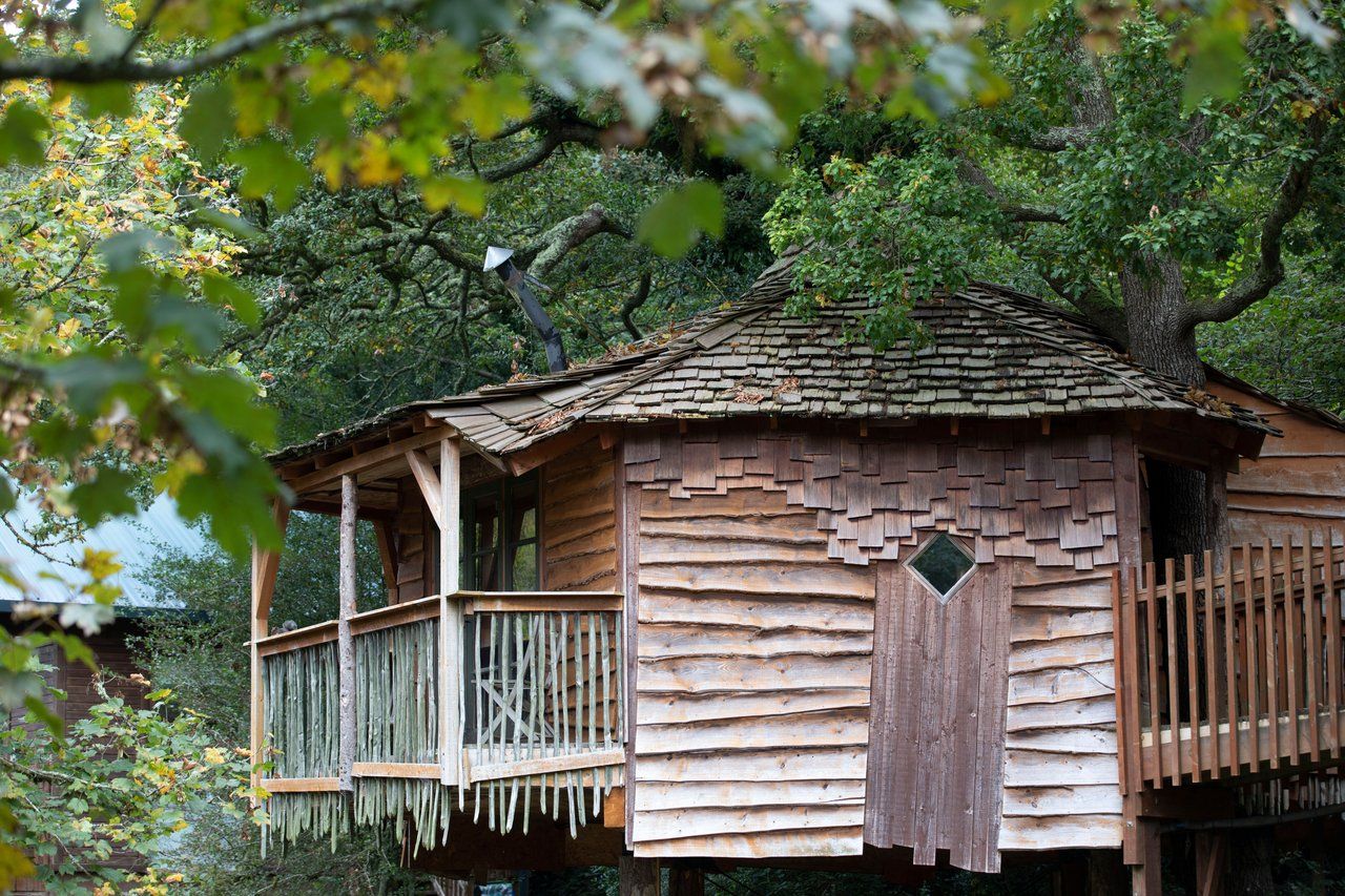 A wooden treehouse with a sloped roof, a balcony with a wooden railing, and a small window.
