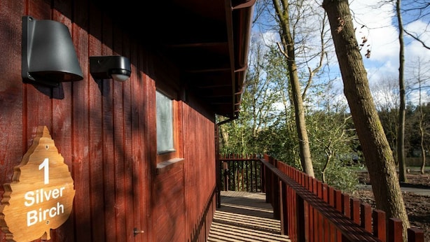 A wooden cabin with a wooden deck and a sign indicating '1 Silver Birch.' - Blackwood Forest - Forest Holidays (Winchester)