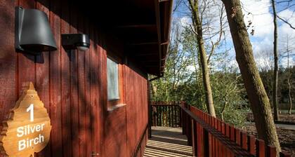 Blackwood Forest Silver Birch Wheelchair Accessible Cabin