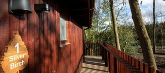 Blackwood Forest Silver Birch Wheelchair Accessible Cabin