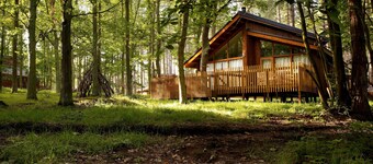Blackwood Forest - Forest Holidays
