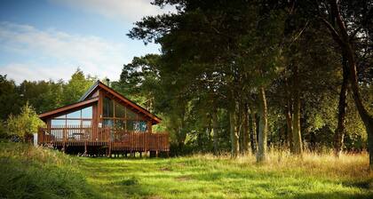 Cropton Forest - Forest Holidays